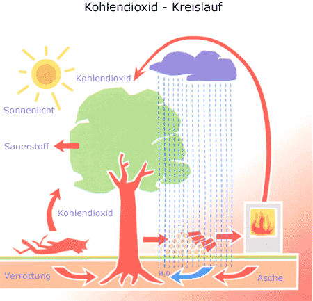 Kohlendioxidkreislauf